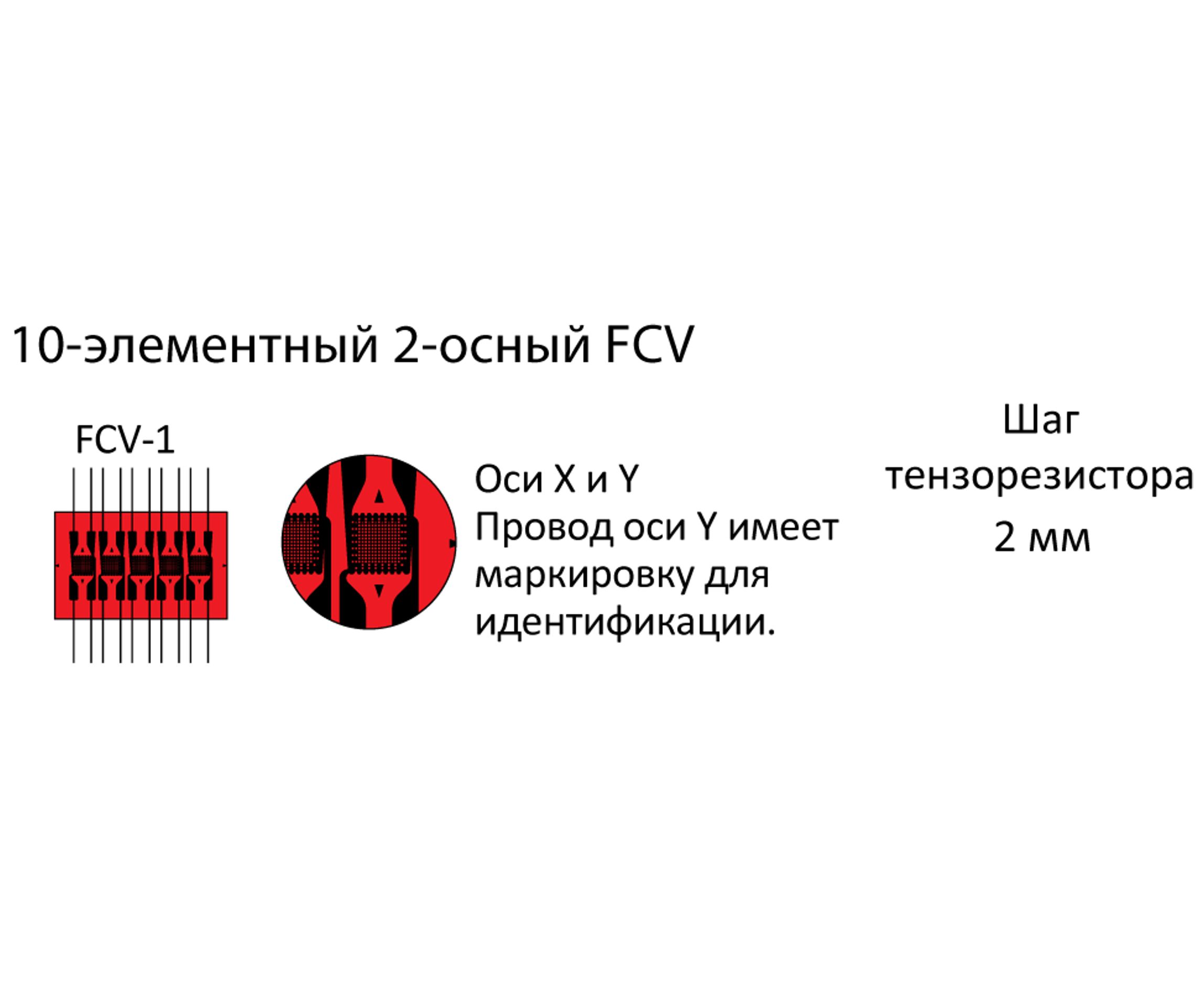 Тензорезисторы F/CCF тензоцепочка